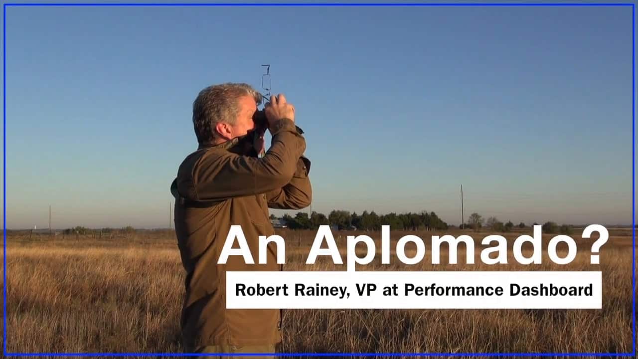 Rob Rainey Discusses His Falconry Hobby